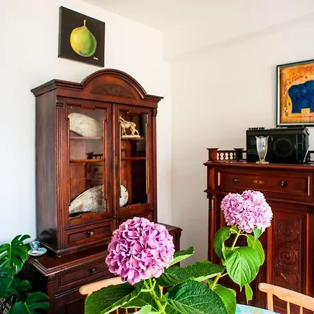 Boutique Tomic Guest house 3*