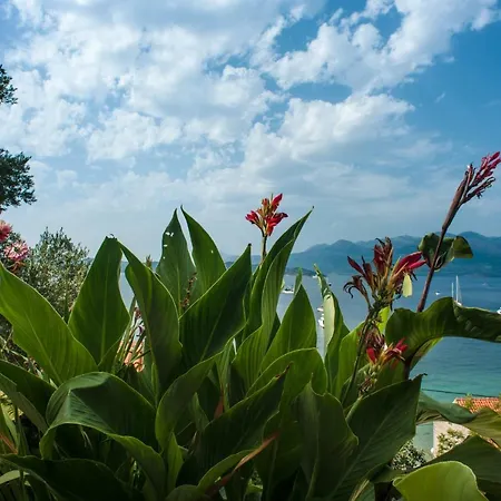 Boutique Tomić Maison d'hôtes Lopud